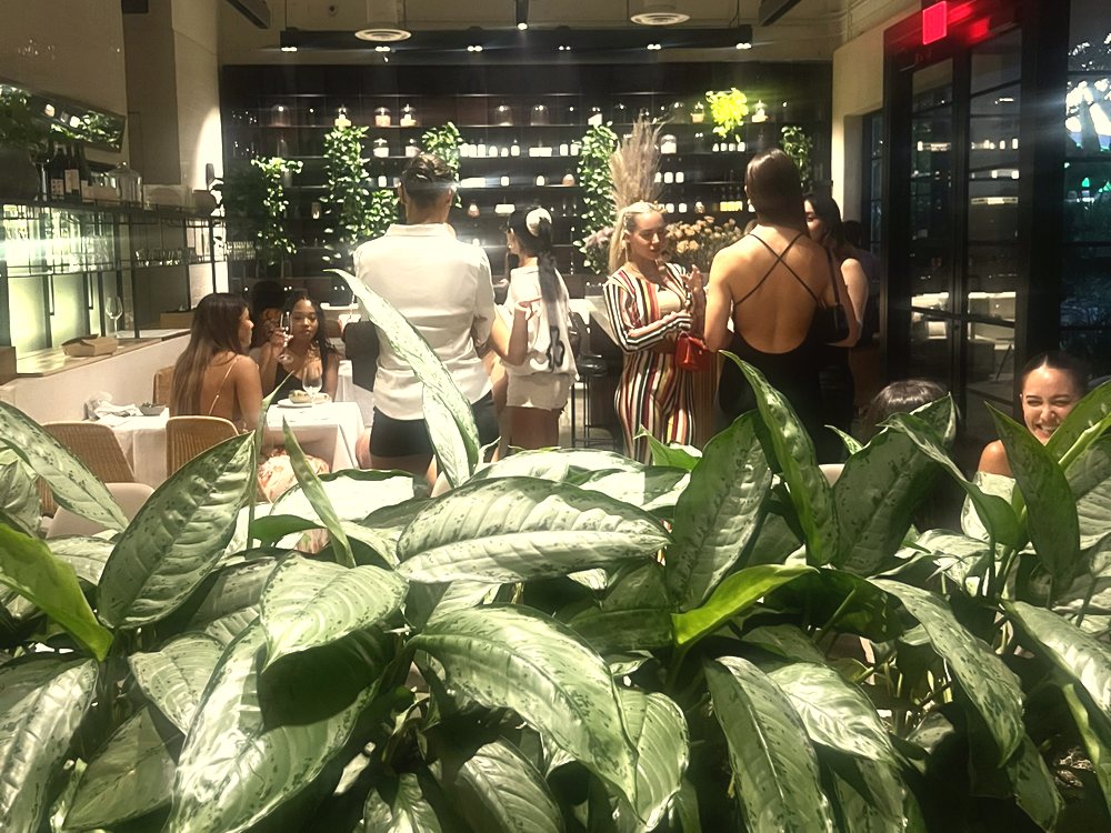 Guests mingling at a brand event Hannah was invited to
